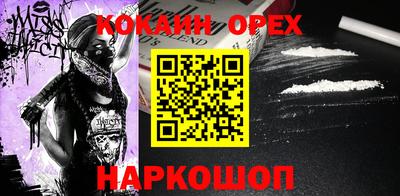 крисы Можга