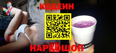 крисы Можга
