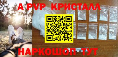 гидра Нальчик
