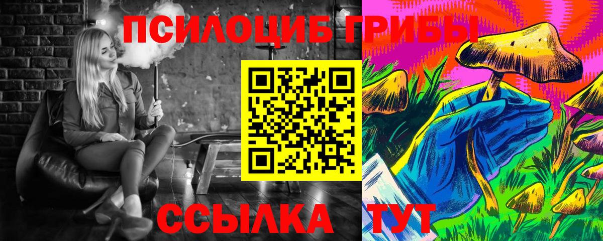 Волхов  Псилоцибиновые грибы MAGIC MUSHROOMS  Вход с VPN 